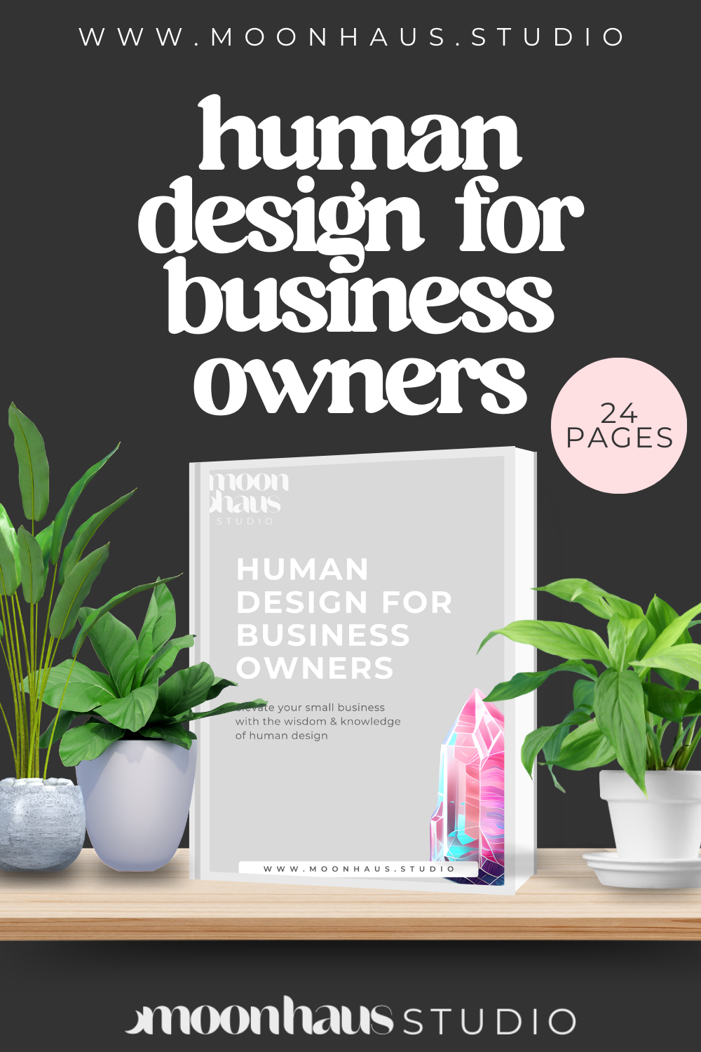 human design for entrepreneurs & business owners: 24-page booklet PDF