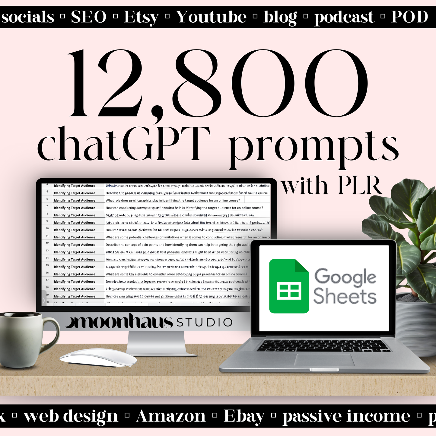 12,800 ChatGPT Prompts with PLR: Small Business/entrepreneur Email Marketing, Social Media, Etsy, Amazon & More!