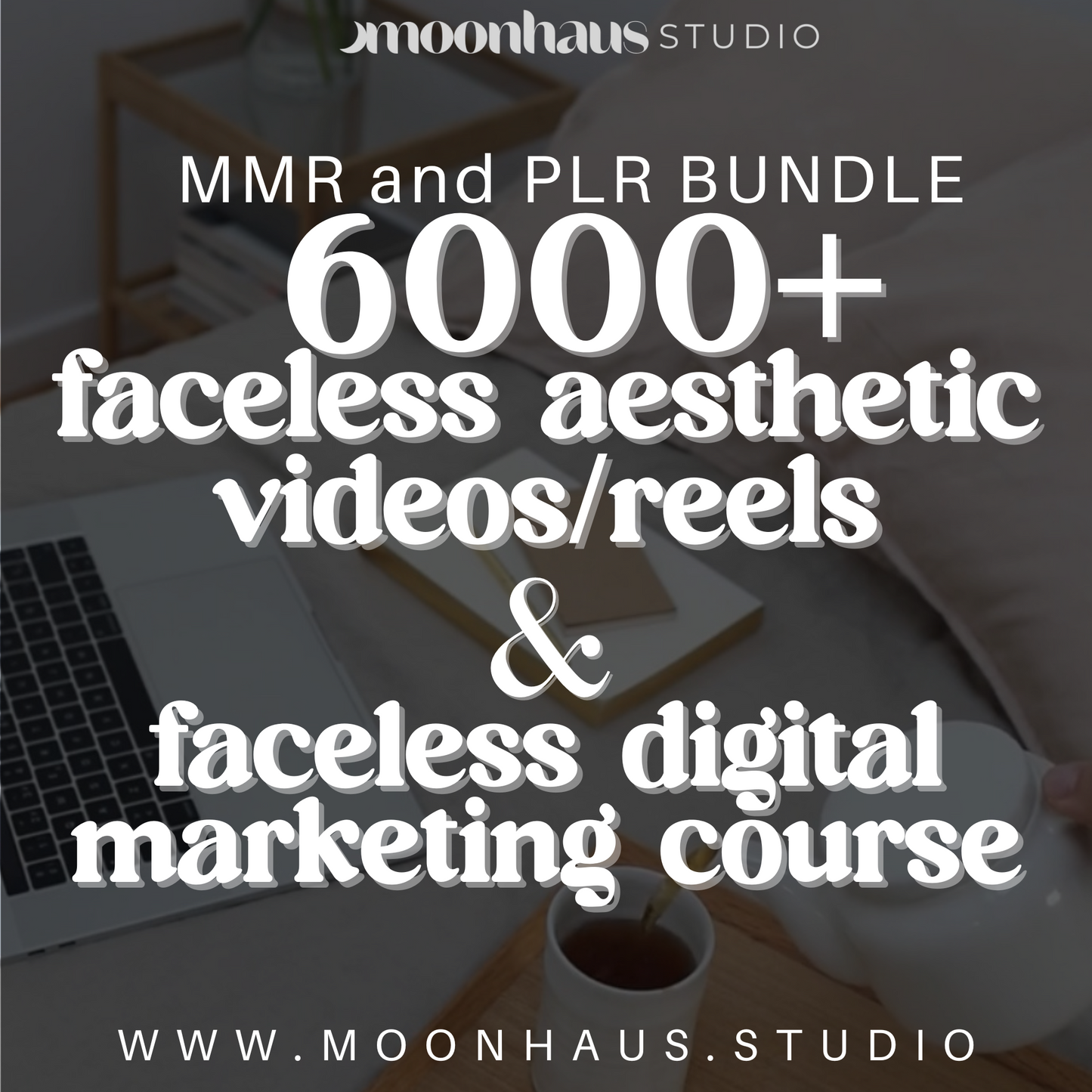 faceless aesthetic digital marketing bundle: 6000+ videos/reels & digital marketing course with MMR and PLR