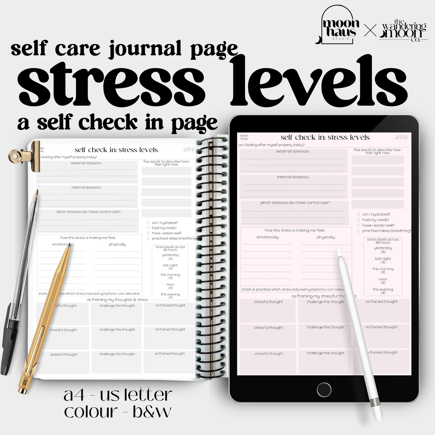 stress levels & chronic pain/illness: a self check in journal page